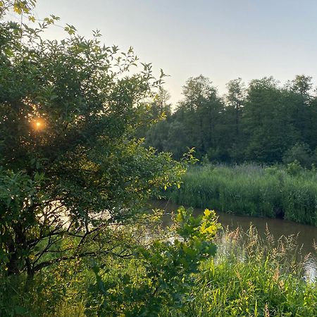 Przytulny Domek W Lesie Blisko Rzeki Ryczywol  外观 照片